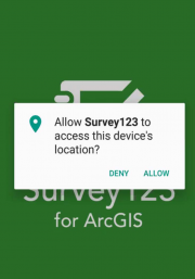 allow device location
